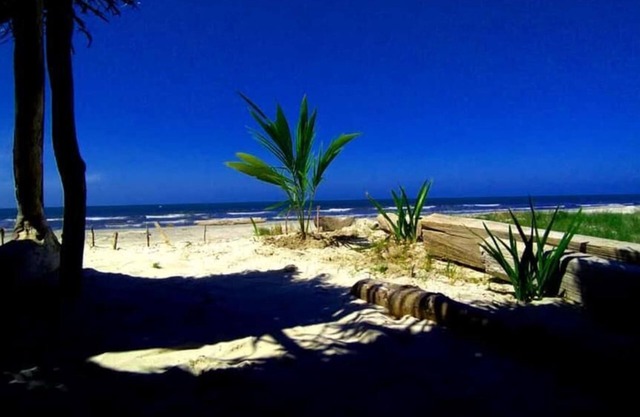 Urantia Beach Hostel & Camping