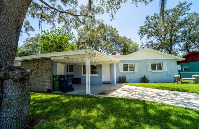 USF Hideaway – Steps from USF & Moffitt, Pet-Friendly 3BR Home with Backyard