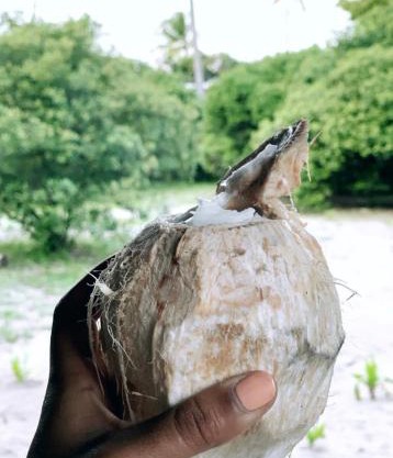 Ushongo Beach Cottages