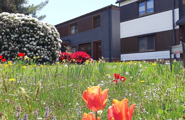 Vacation apartment/apartment for 3 guests with 50m² in Meuselbach-Schwarzmühle (123014)