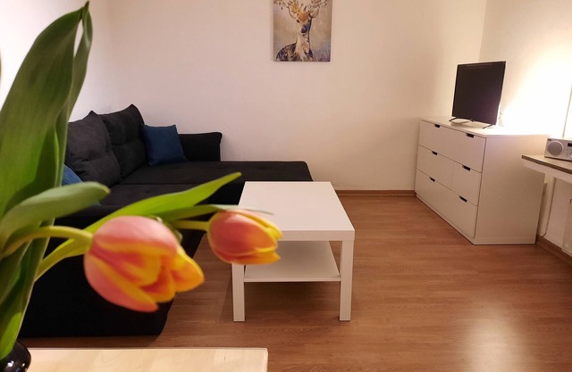 Vacation apartment/apartment for 2 guests with 45m² in Nordhorn (185873)