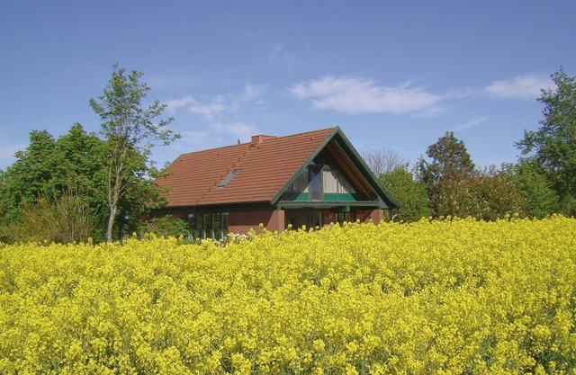 Vacation apartment/apartment for 2 guests with 40m² in Holtsee (13629)