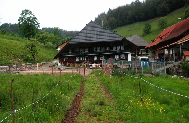Vacation apartment/apartment for 4 guests with 75m² in Böllen (68454)