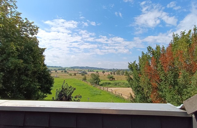 Vacation apartment for 6 (7) persons Eifel