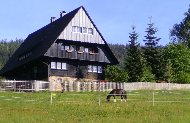 Vacation apartment in idyllic forester's lodge, family-friendly, dogs welcome