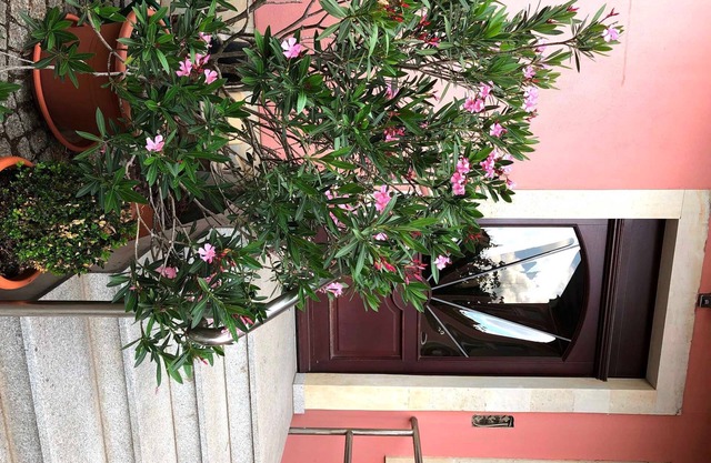 Vacation apartments at the Elbe ferry and Elbhangblick - Holiday apartment at the Elbe ferry