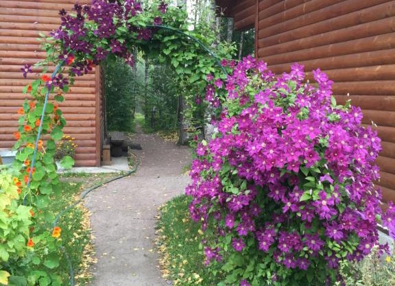 Vacation home Banka u Ivana
