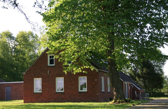 Vacation home for 5 guests with 85m² in Hage (147385)