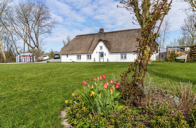 Vacation home 'Reetdachhaus Alter Deich' with private sauna, private garden and 6 e-bikes
