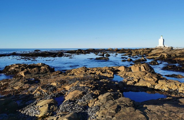 Vacation home with ocean views - 5mins from the beach!