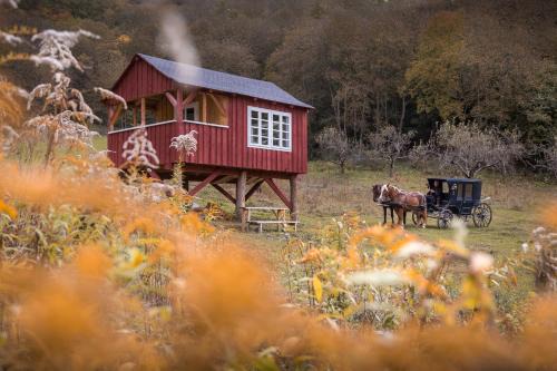 Valea Verde Retreat Transilvania