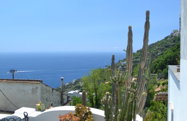 Valentina House (Anima Domi)