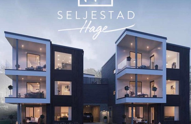 Veien til Senja