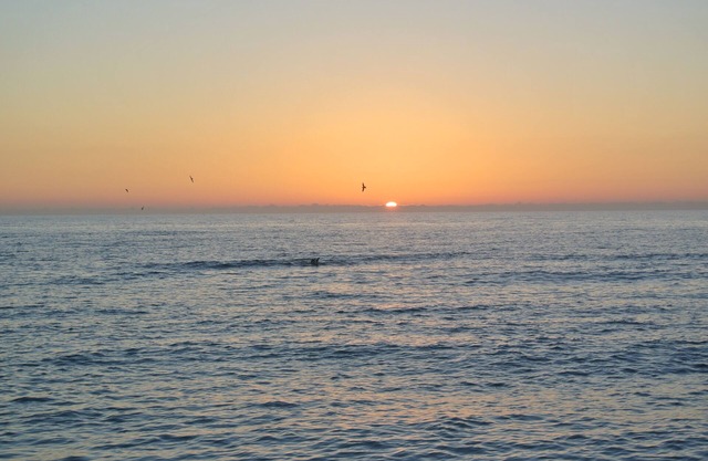 Venice Florida Condo
