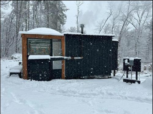 Venster Your window to the wilderness