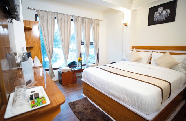 Verdant The Lush Gateway