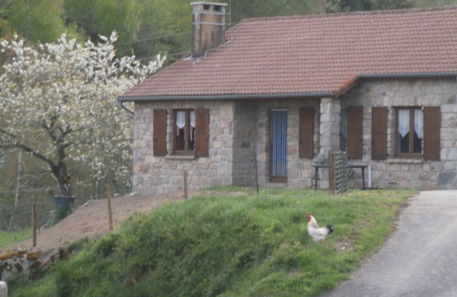 Very beautiful country granite house