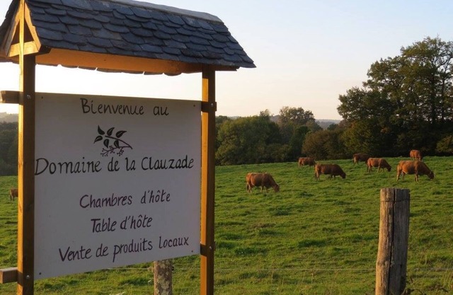 Very large property, ideal for large groups seeking tranquility