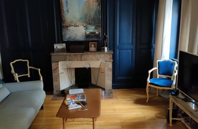 very nice apartment downtown