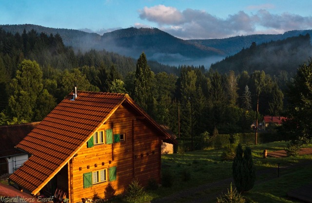 Very quiet wooden house with log sauna in a charming environment