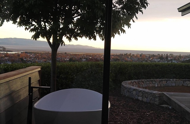 Views, Space and Privacy