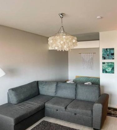 Viihtyisä yksiö lähellä palveluita. (Himos 7,9 km)