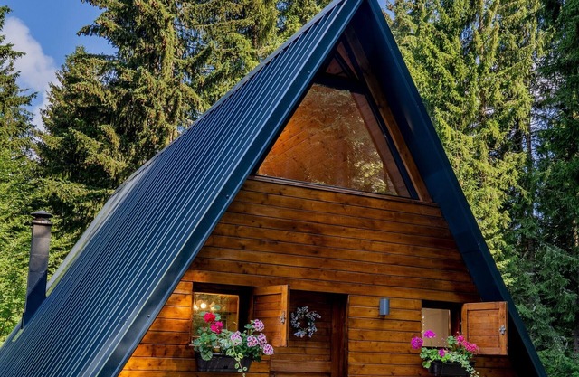 VIKTORIJA CHALET IN THE HEART OF MOUNT KOPAONIK