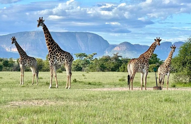 Vilagama Game Lodge