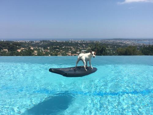 Villa Antibes 180 Seawieu