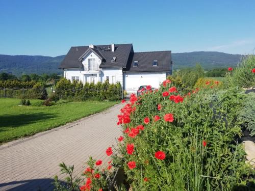 Villa Borówka