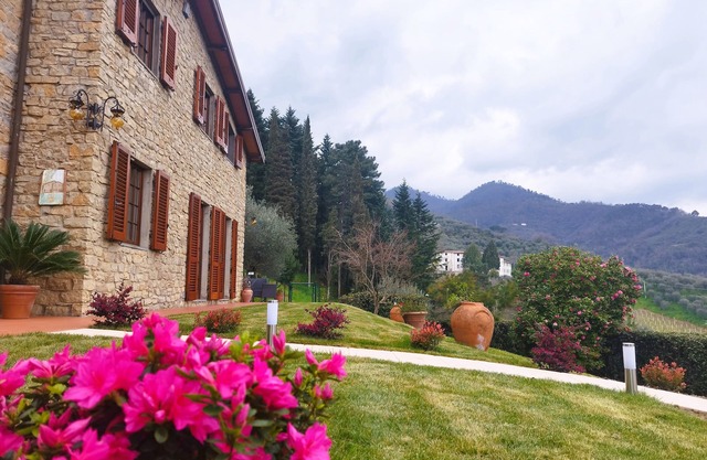 VILLA CAMELIA TUSCANY villa with pool surrounded by olive trees - wonderful view