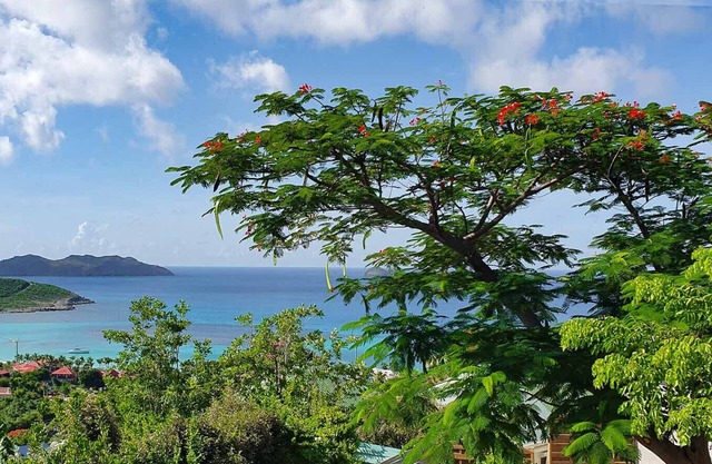 Villa Casanova (2 bedrooms)