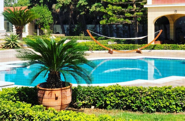 Villa Dolphin. Luxury Villa on the Beach