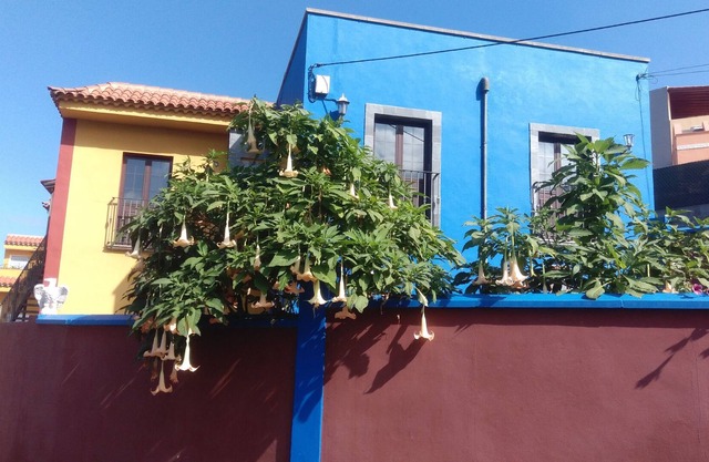 Villa Fuente la Tosca