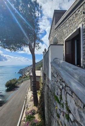 Villa Furoris Apartment