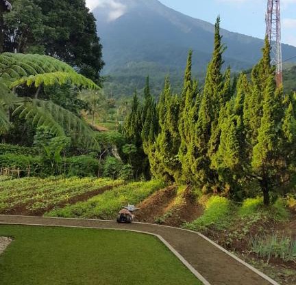 Villa gunung salak indah