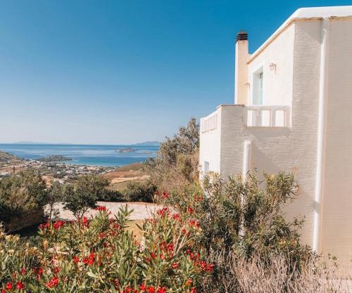 Villa Il Paradiso Andros