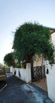Villa Maria