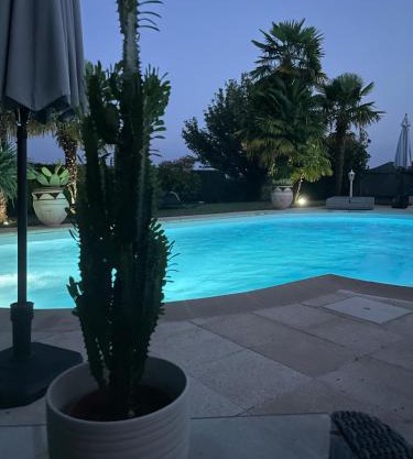 Villa palmeraie