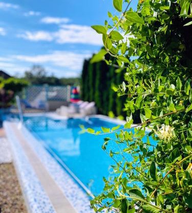 Villa - Riviera Nistreana