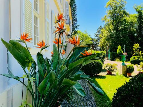Villa Schloss Rimsingen Fine Apartments