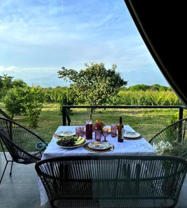 Villa Tsinandali