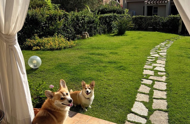 Villa with garden just 200 meters from the beautiful beach of Costa Rei