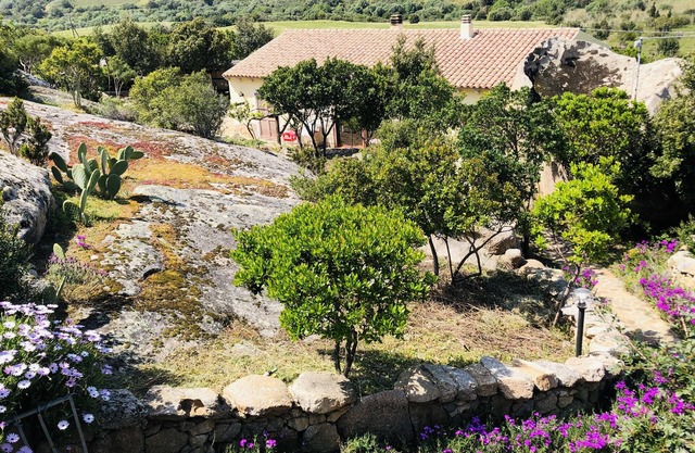 Villa with panoramic pool surrounded by greenery