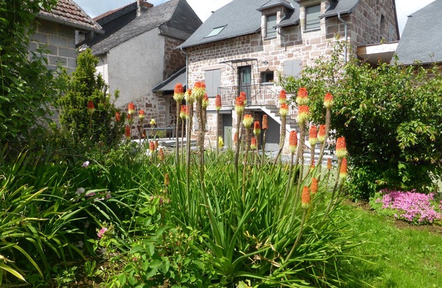 Village house * Brive-la-Gaillarde area