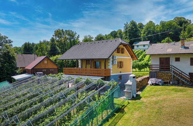 Vineyard Cottage Stepan, Črnomelj, Slovenia