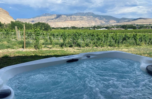 Vineyard Home close to town and Fruit and Wine Byway