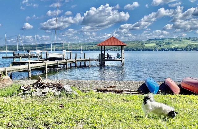 VINTAGE COTTAGE OVERLOOKING SENECA LAKE PRIVATE BEACH/DOCK/KAYAKS/CAMPFIRE