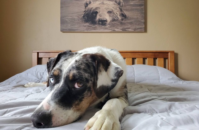 Visit Tres Chivos Farmhousenwarm and cozy, Kids and pet friendly too!