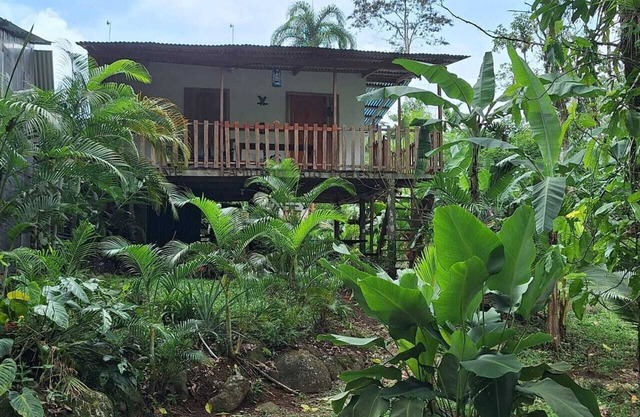 Vista Rio Celeste Cabin